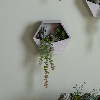 Wall Planter with Agave Succulent mix