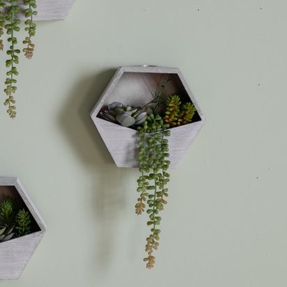 Wall Planter with Echeveria Succulent mix