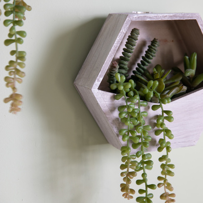 Wall Planter with Sedum Succulent mix
