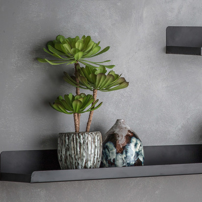 Echeveria with Rustic Cement Pot