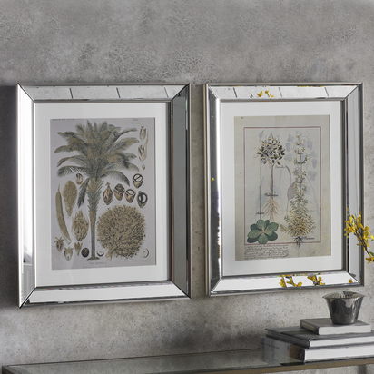 Verde Botanical II Framed Art Set of 2