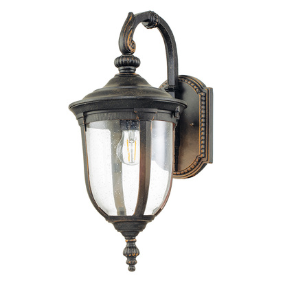 Cleveland 1 Light Medium Wall Lantern