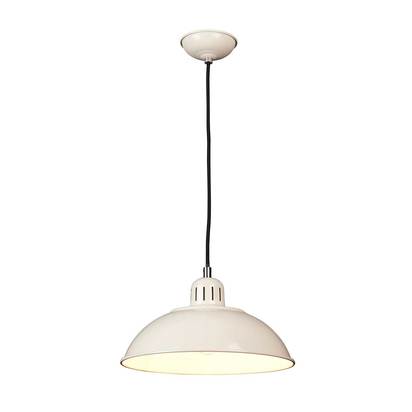 Franklin 1 Light Pendant