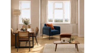 Contemporary Living & Dining Room Design: Teal, Warm & Characterful — photo 4