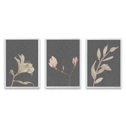 Set Of Three Vintage Botanical Poster Prints - A4 BLACK FRAME 13x17 inch