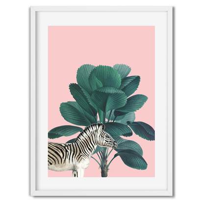 Tropical Jungle Pink Zebra Wall Art Print - US 8x10 inch / White Frame