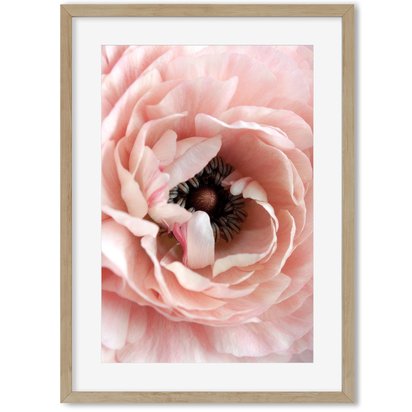 All The Pinks Gallery Wall Art