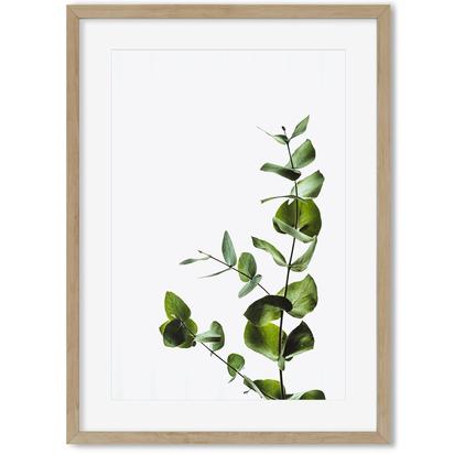 Green Branch Portrait Art Print