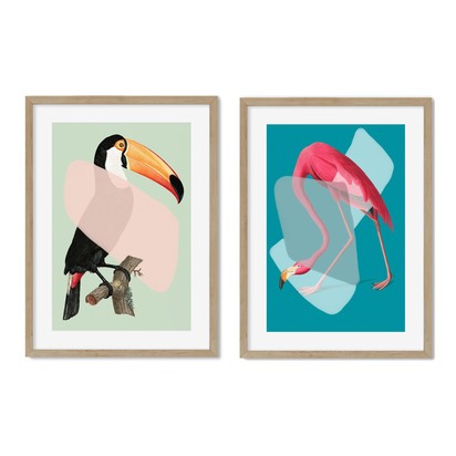 Birds Pop Art - Print Set Of 2 - (A2) 42x59 cm - 16x23" / Oak Frame With Mount