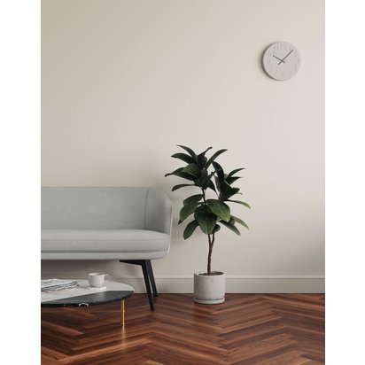 White 02 - Off-White With Touch Of Grey