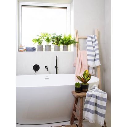 The Little Botanical Bathroom Plants Multi | H40 x W50cm