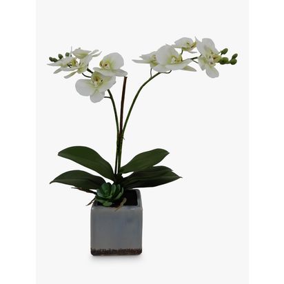 John Lewis Artificial Orchid in Ceramic Planter | H44.5 x W9.5 x D30.5cm