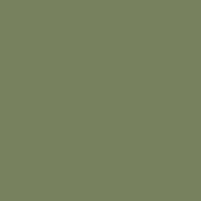The Little Greene Paint Company Intelligent Eggshell, Strong Greens Sage Green (80) | 1L