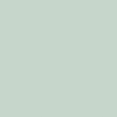 The Little Greene Paint Company Absolute Matt Emulsion Greens Tester Pot Aquamarine Mid (284)