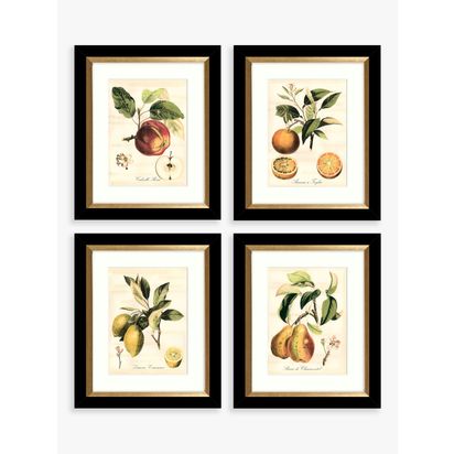 John Lewis 'Tuscan Fruit' Framed Prints & Mounts, Set of 4, 36.5 x 30.5cm, Orange/Multi Orange/Multi | H36.5 x W30.5 x D3cm