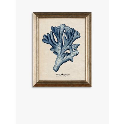 John Lewis Melissa Wang 'Sea Coral Study' Framed Prints, Set of 4, 47 x 37cm, Blue/Multi Blue/Multi | H47 x W37 x D2cm