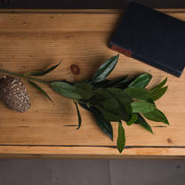 Open uri20201129 20075 dgcgbt?1606619383