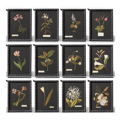 Set of Twelve Framed Flower Botanical Prints - Multi
