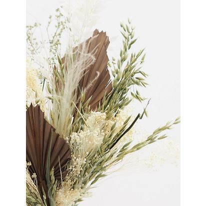 Ixia Flowers Neutral Premium Dried Flowers