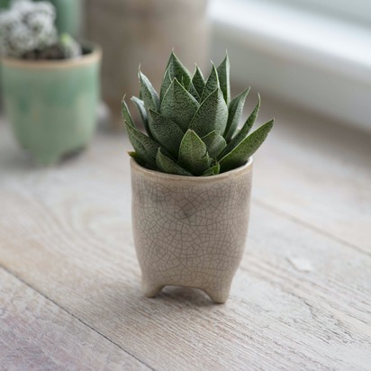 Stone Positano Pot