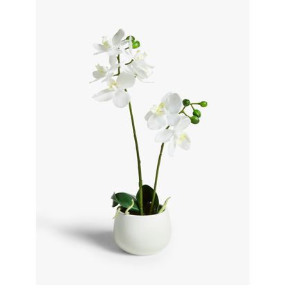 John Lewis Artificial Small White Orchid in Ceramic Pot | H38 x W9 x D15cm