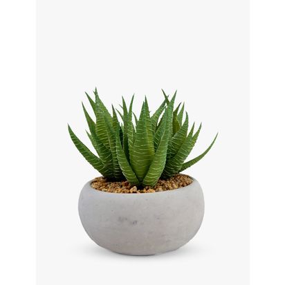 John Lewis Artificial Aloe Vera in Cement Planter | H15 x W15 x D15cm