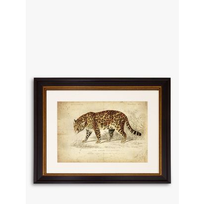 Brookpace Lascelles 'Jaguar' Framed Print & Mount, 46 x 55cm, Brown Brown | H46 x W55 x D5cm