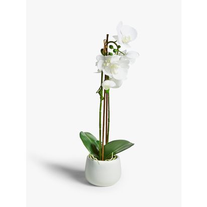 John Lewis Artificial Large White Orchid White | H56 x W15 x D23cm