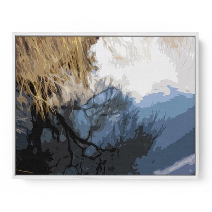 Abstract Landscape Reflection Canvas Print