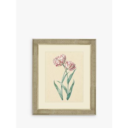 Brookpace Lascelles 'Tulips I' Framed Print & Mount, 60 x 50cm, Pink/Multi Pink/Multi | H60 x W50 x D5cm