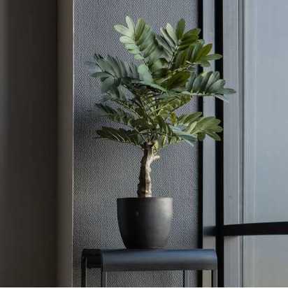 OUTLET Zamia Artificial Plant