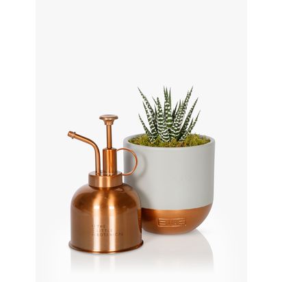 The Little Botanical Copper Mister & Plant Set Copper | H20 x W18 x D9.5cm