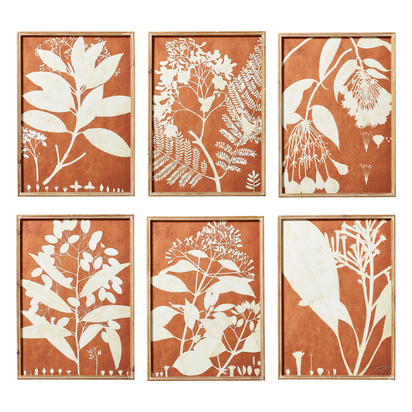 Set of Six Flora Photogram Framed Prints - Orange