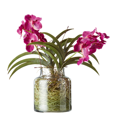Cymbidium Orchids with Vase - Pink