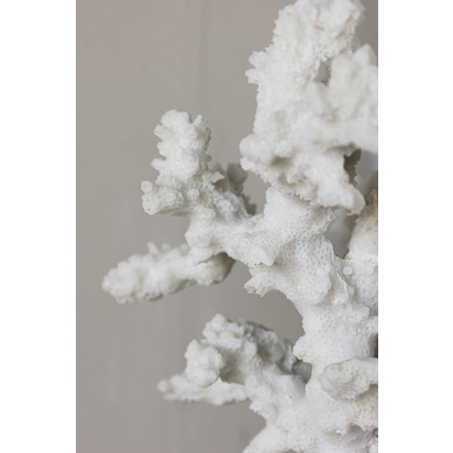 White Faux Coral Bookends