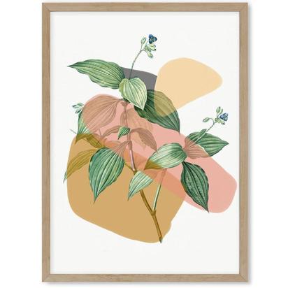 Botanical Vintage Terracotta Art Print 30 x 40 cm Oak Frame No Mount