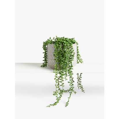 John Lewis Artificial Nickels in Grey Pot Multi | H17.8 x W33 x D17.8cm