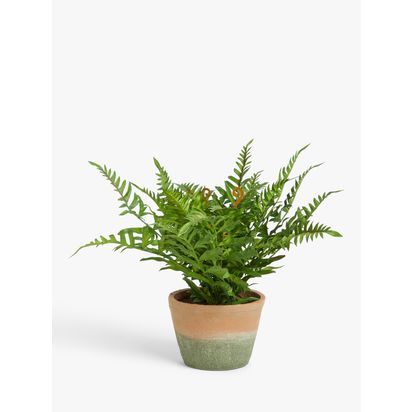 John Lewis Artificial Fern Bush in Terracotta Pot Multi Multi | H50.8 x W35.6 x D50.8cm