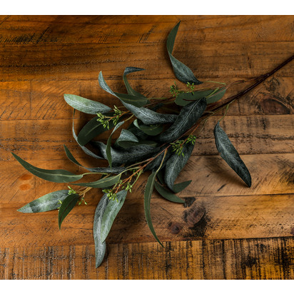 Seeded Eucalyptus Spray