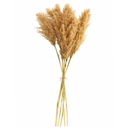 Dried Pampas Natural Grass Bouquet
