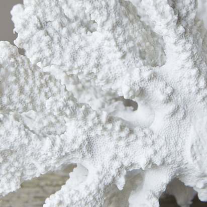 Open uri20220211 22910 14kgfie?1644613659