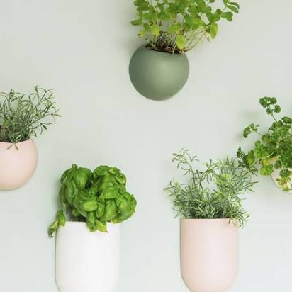 Open uri20220303 29701 1q9cgjh?1646274988