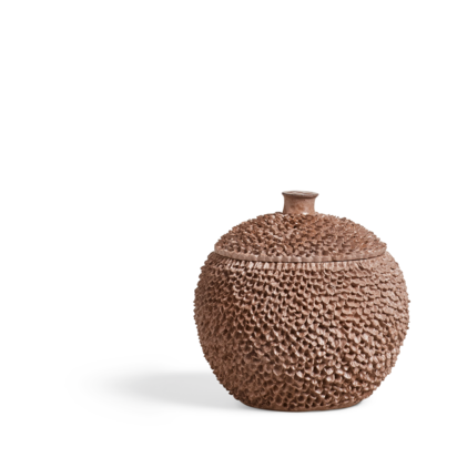 Astreopora Lidded Pot – Bark