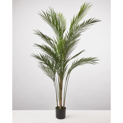 Open uri20220519 7257 50mlov?1652923621