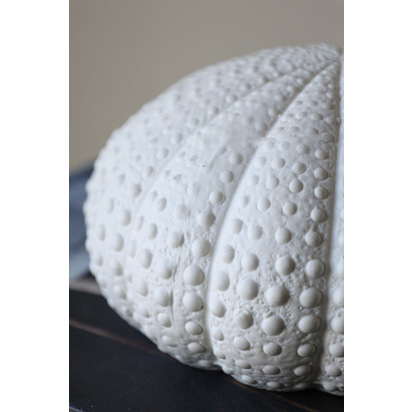White Faux Sea Urchin Ornament