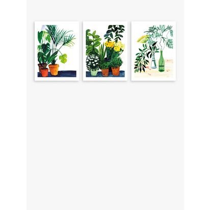 John Lewis Marta Chojnacka 'Botanical' Unframed Print, Set of 3, 40 x 30cm, Green Green | H40 x W30 x D0.4cm