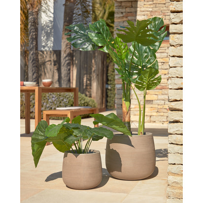 Artificial Alocasia Odora with black plantpot 57 cm