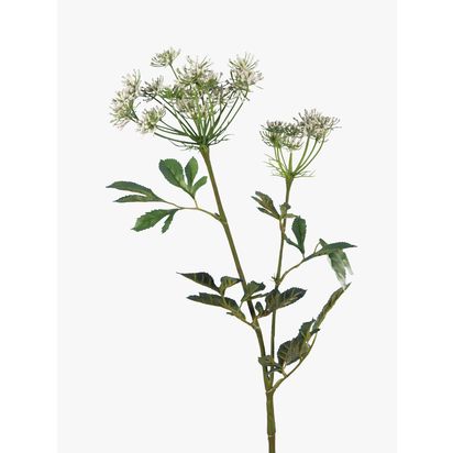 Floralsilk Artificial Bishops Flower Multi | H75 x W15 x D12cm