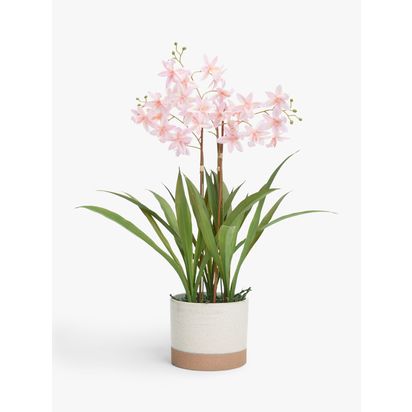 John Lewis Artificial Mini Orchid in Ceramic Pot Multi Multi | H54.6 x Dia.50.8cm