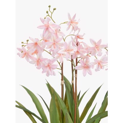 John Lewis Artificial Mini Orchid in Ceramic Pot Multi Multi | H54.6 x Dia.50.8cm